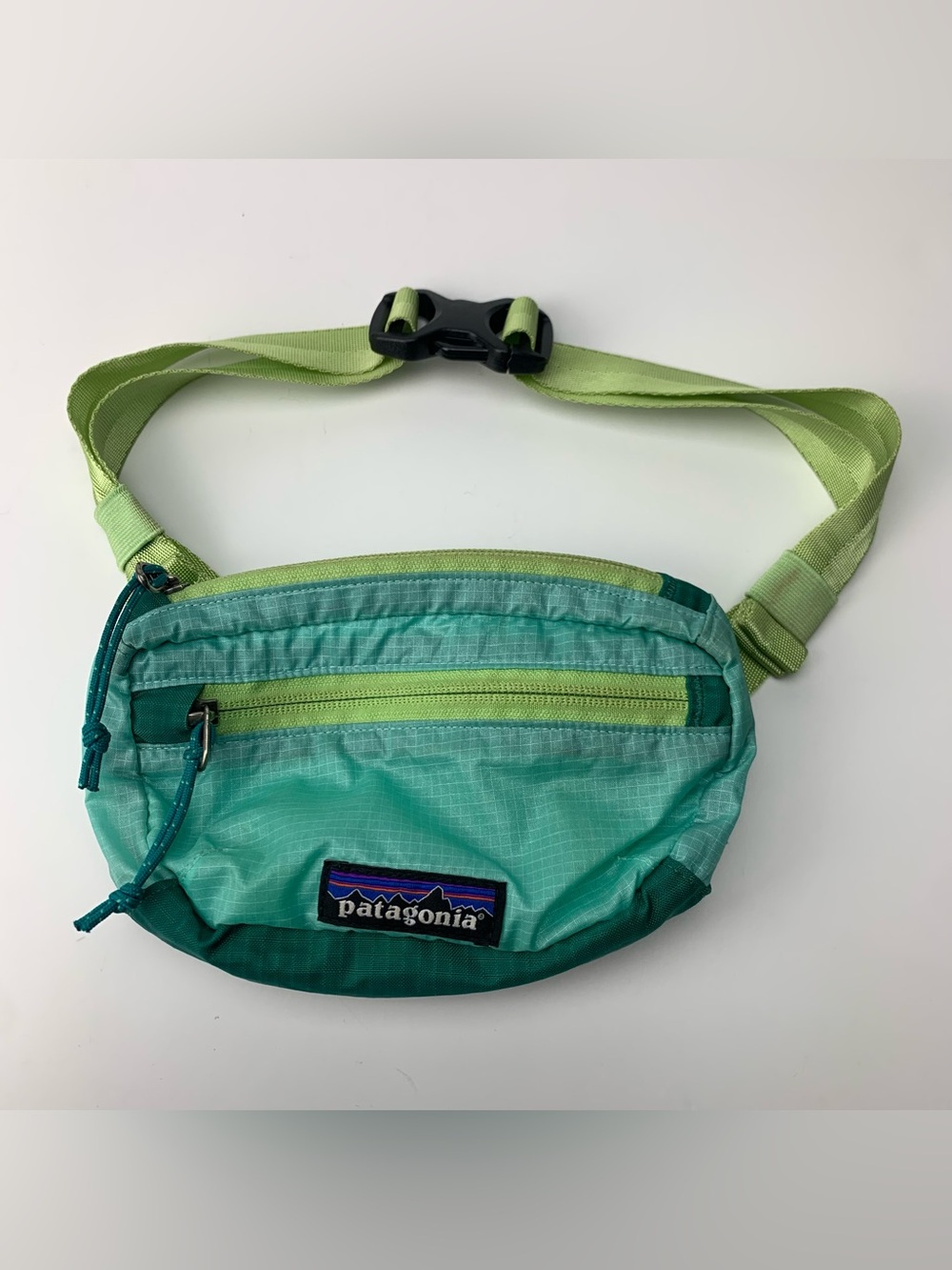 Patagonia Lightweight Travel Mini Hip Pack